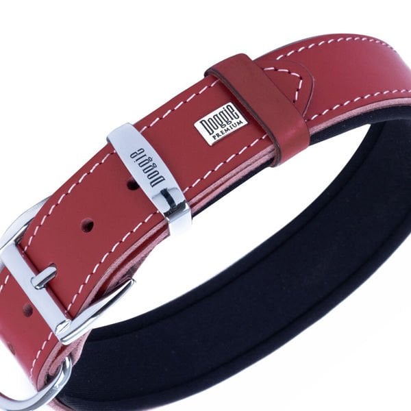 Doggie Comfort Deri Çivili Köpek Boyun Tasması Small Kırmızı 4x47-55 Cm Doggie Comfort Deri Çivili Köpek Boyun Tasması Small Kırmızı 4x47-55 Cm