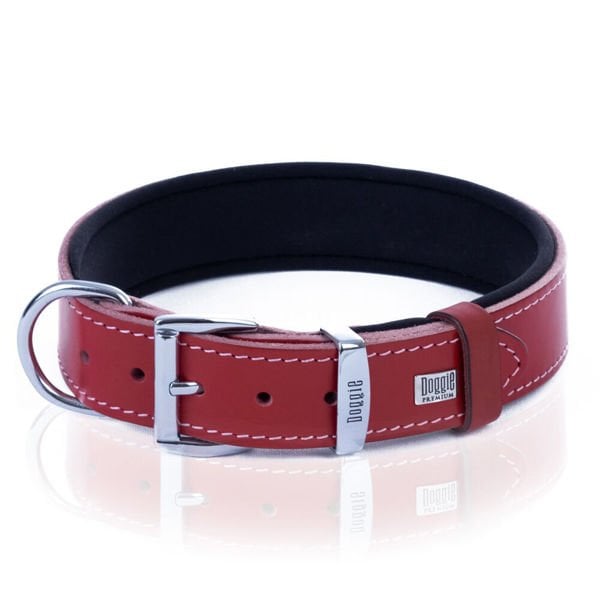 Doggie Comfort Deri Çivili Köpek Boyun Tasması Small Kırmızı 4x47-55 Cm Doggie Comfort Deri Çivili Köpek Boyun Tasması Small Kırmızı 4x47-55 Cm