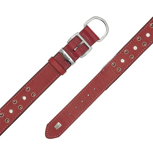 Doggie Comfort Deri Çivili Köpek Boyun Tasması Small Kırmızı 4x47-55 Cm Doggie Comfort Deri Çivili Köpek Boyun Tasması Small Kırmızı 4x47-55 Cm
