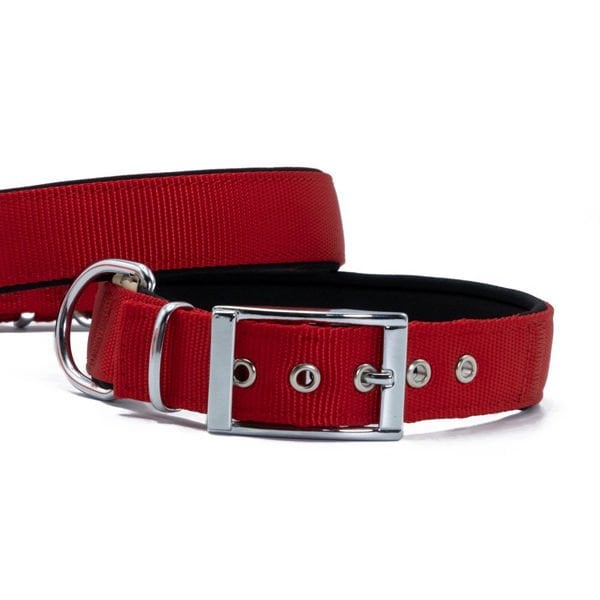 Doggie Elit Dokuma Köpek Boyun Tasması Large Kırmızı 3x47-55 Cm Doggie Elit Dokuma Köpek Boyun Tasması Large Kırmızı 3x47-55 Cm