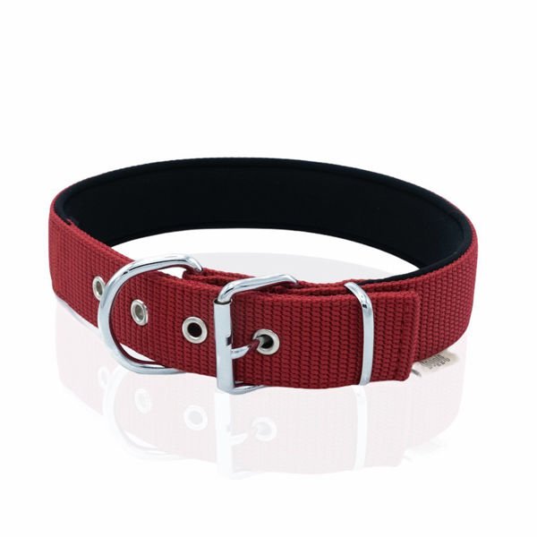 Doggie Elit Dokuma Köpek Boyun Tasması Large Kırmızı 4x57-65 Cm Doggie Elit Dokuma Köpek Boyun Tasması Large Kırmızı 4x57-65 Cm