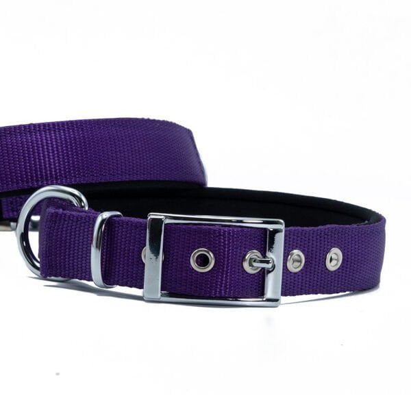 Doggie Elit Dokuma Köpek Boyun Tasması Large Mor 2.5x42-50 Cm Doggie Elit Dokuma Köpek Boyun Tasması Large Mor 2.5x42-50 Cm