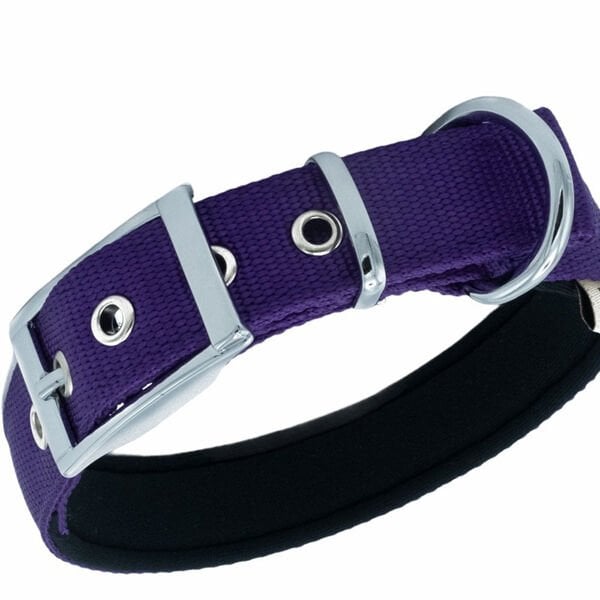 Doggie Elit Dokuma Köpek Boyun Tasması Large Mor 2.5x42-50 Cm Doggie Elit Dokuma Köpek Boyun Tasması Large Mor 2.5x42-50 Cm