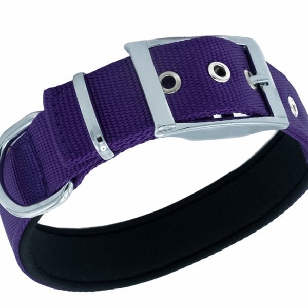 Doggie Elit Dokuma Köpek Boyun Tasması Large Mor 3x47-55 Cm Doggie Elit Dokuma Köpek Boyun Tasması Large Mor 3x47-55 Cm
