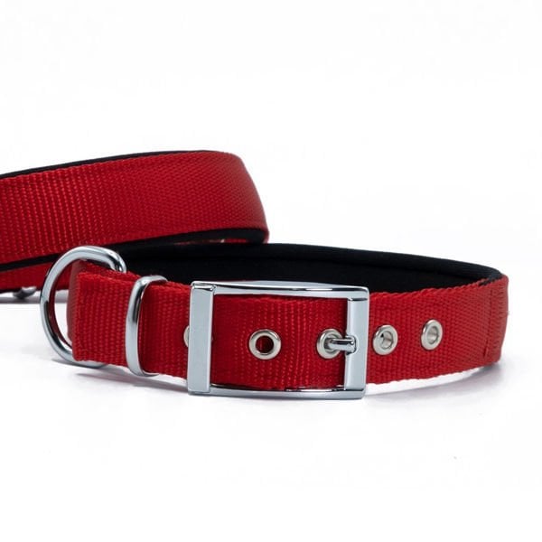 Doggie Elit Dokuma Köpek Boyun Tasması Medium Kırmızı 2.5x37-45 Cm Doggie Elit Dokuma Köpek Boyun Tasması Medium Kırmızı 2.5x37-45 Cm