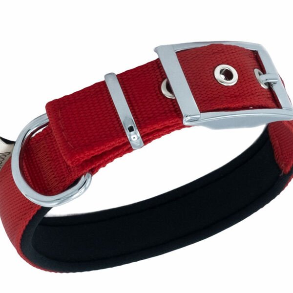 Doggie Elit Dokuma Köpek Boyun Tasması Medium Kırmızı 2.5x37-45 Cm Doggie Elit Dokuma Köpek Boyun Tasması Medium Kırmızı 2.5x37-45 Cm