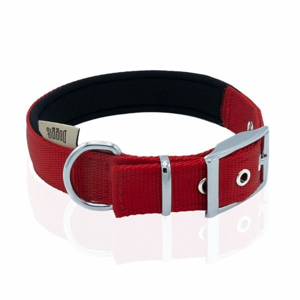 Doggie Elit Dokuma Köpek Boyun Tasması Medium Kırmızı 2.5x37-45 Cm Doggie Elit Dokuma Köpek Boyun Tasması Medium Kırmızı 2.5x37-45 Cm