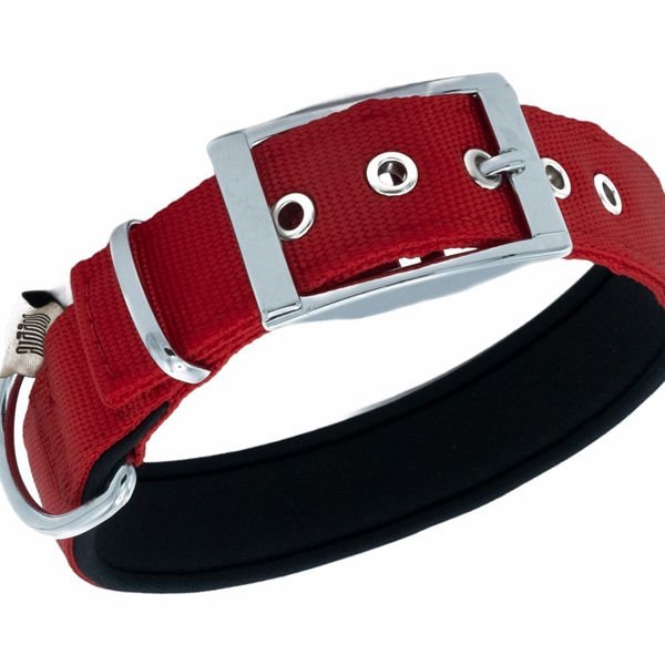 Doggie Elit Dokuma Köpek Boyun Tasması Medium Kırmızı 3x42-50 Cm Doggie Elit Dokuma Köpek Boyun Tasması Medium Kırmızı 3x42-50 Cm