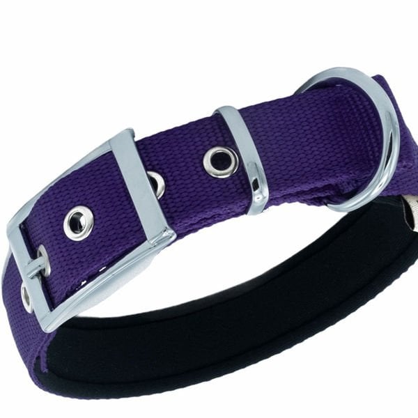 Doggie Elit Dokuma Köpek Boyun Tasması Medium Mor 2.5x37-45 Cm Doggie Elit Dokuma Köpek Boyun Tasması Medium Mor 2.5x37-45 Cm