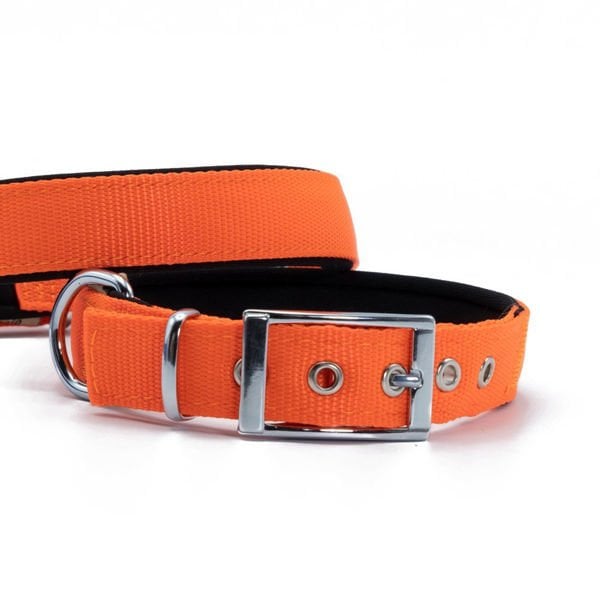 Doggie Elit Dokuma Köpek Boyun Tasması Medium Turuncu 2.5x37-45 Cm Doggie Elit Dokuma Köpek Boyun Tasması Medium Turuncu 2.5x37-45 Cm