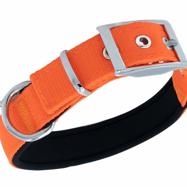 Doggie Elit Dokuma Köpek Boyun Tasması Medium Turuncu 2.5x37-45 Cm Doggie Elit Dokuma Köpek Boyun Tasması Medium Turuncu 2.5x37-45 Cm
