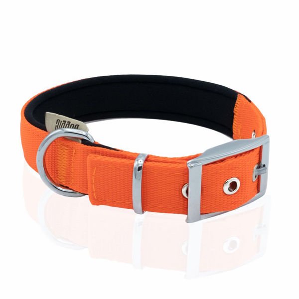 Doggie Elit Dokuma Köpek Boyun Tasması Medium Turuncu 2.5x37-45 Cm Doggie Elit Dokuma Köpek Boyun Tasması Medium Turuncu 2.5x37-45 Cm
