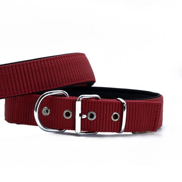 Doggie Elit Dokuma Köpek Boyun Tasması Small Kırmızı 4x47-55 Cm Doggie Elit Dokuma Köpek Boyun Tasması Small Kırmızı 4x47-55 Cm