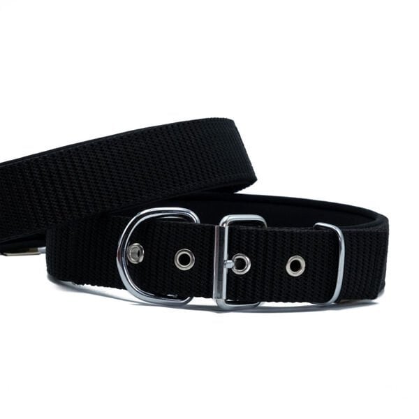 Doggie Elit Dokuma Köpek Boyun Tasması Small Siyah 4x47-55 Cm Doggie Elit Dokuma Köpek Boyun Tasması Small Siyah 4x47-55 Cm
