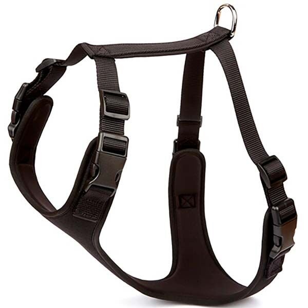 Doggie Havalı Dokuma Köpek Göğüs Tasması Xlarge Siyah 2.5x65-75 Cm Doggie Havalı Dokuma Köpek Göğüs Tasması Xlarge Siyah 2.5x65-75 Cm