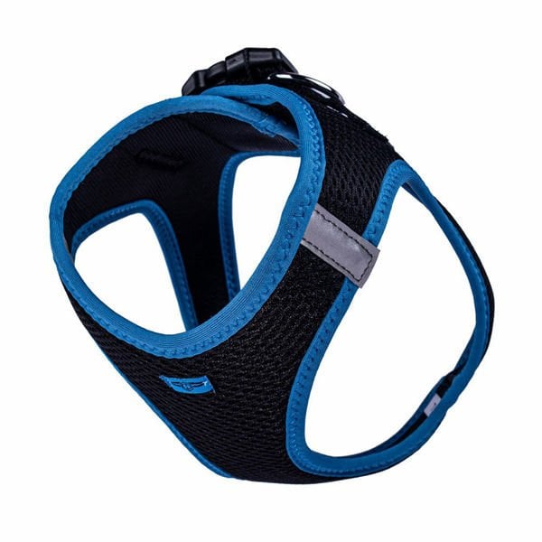 Doggie Havalı Dokuma Neon Küçük Irk Köpek Göğüs Tasması Large Mavi 42-48 Cm Doggie Havalı Dokuma Neon Küçük Irk Köpek Göğüs Tasması Large Mavi 42-48 Cm