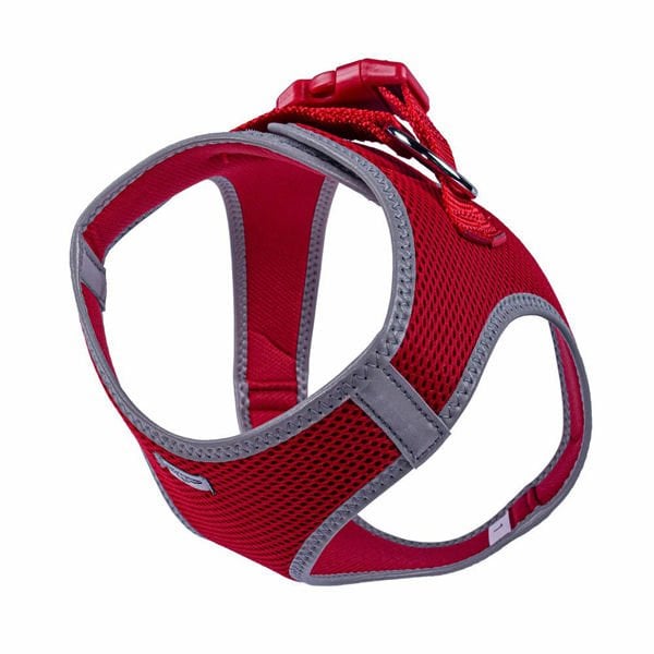 Doggie Havalı Dokuma Reflektör Küçük Irk Köpek Göğüs Tasması Large Kırmızı 42-48 Cm Doggie Havalı Dokuma Reflektör Küçük Irk Köpek Göğüs Tasması Large Kırmızı 42-48 Cm