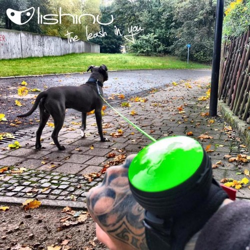Lishinu Bungee Akıllı Köpek Gezdirme Tasması Yeşil Large Lishinu Bungee Akıllı Köpek Gezdirme Tasması Yeşil Large