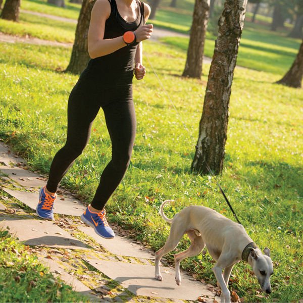 Lishinu Bungee Akıllı Köpek Gezdirme Tasması Yeşil Large Lishinu Bungee Akıllı Köpek Gezdirme Tasması Yeşil Large